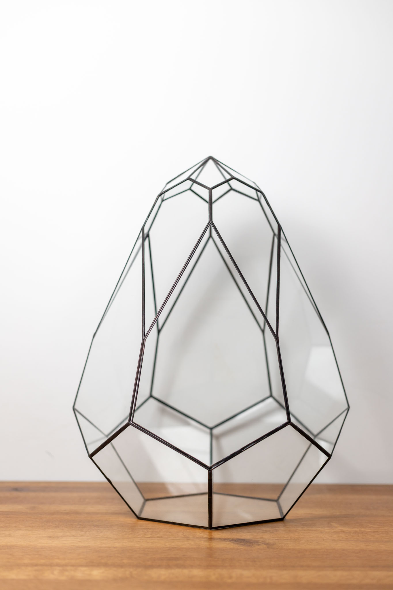 Empty Avocado-shaped glass container for DIY terrariums or decorations