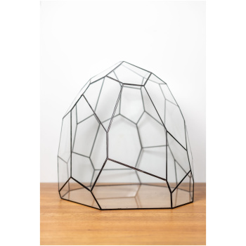 Glass Plant Container – POTATO