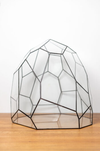 Glass Plant Container – POTATO