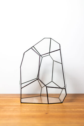 Handmade glass container for plant terrarium