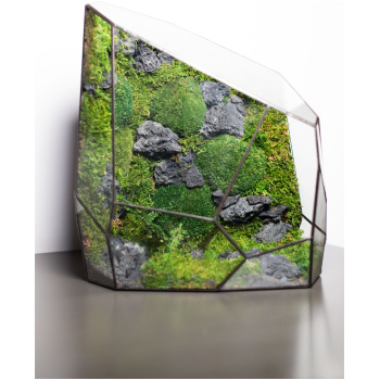Low Maintenance Moss Terrarium – ROCK