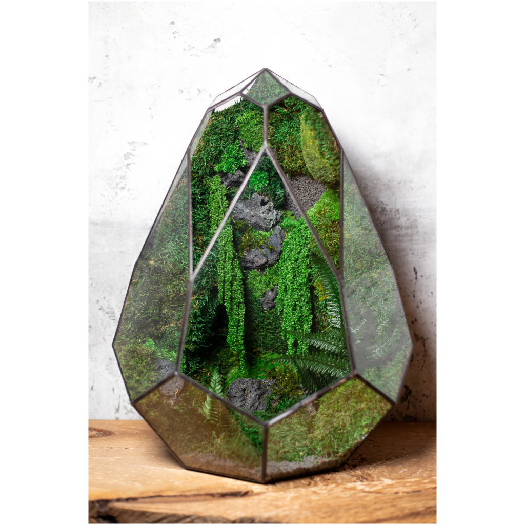 Moss Terrarium