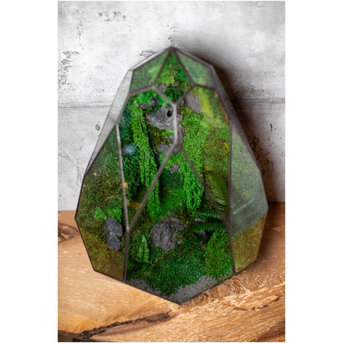Moss Terrarium