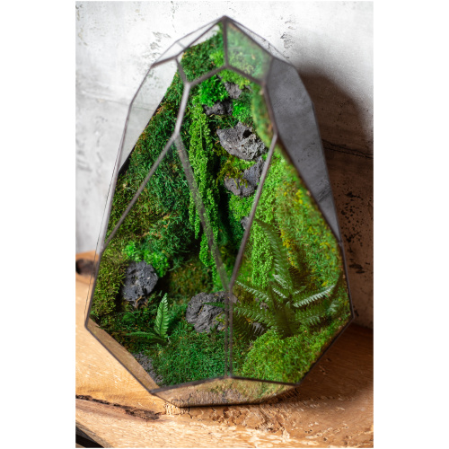 Moss Terrarium