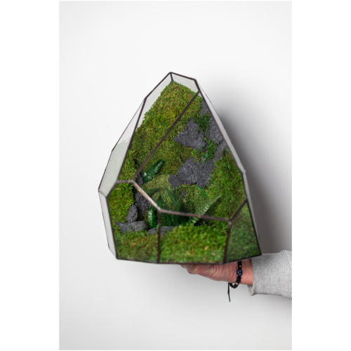 Medium glass terrarium with stabilized moss for home décor by duosglas