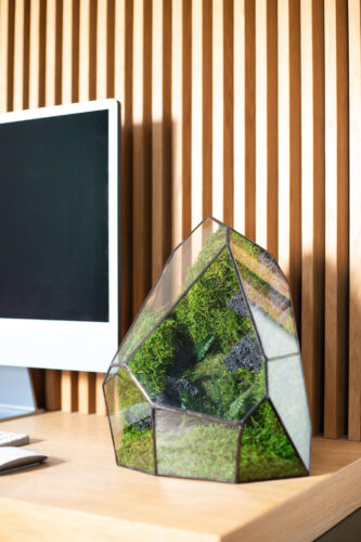 Low-maintenance glass moss terrarium, preserved greenery, handmade home decor