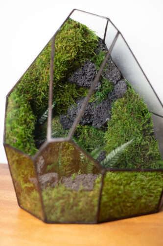 Low-maintenance glass moss terrarium, preserved greenery, handmade home decor