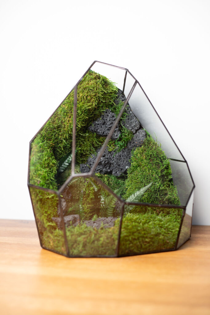Low-maintenance glass moss terrarium, preserved greenery, handmade home decor