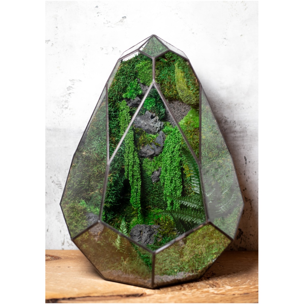 Low maintenance moss terrarium in avocado-shaped Tiffany glass container