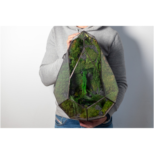 Low Maintenance Moss Terrarium – Avocado held in hand, handmade Tiffany-style glass container