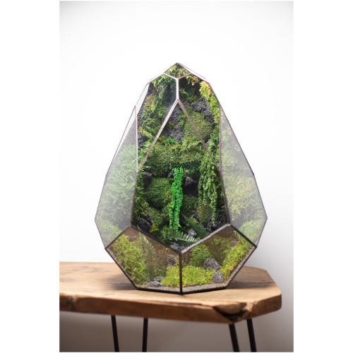Low Maintenance Moss Terrarium – Avocado styled as home or office decor in handmade Tiffany-style glass