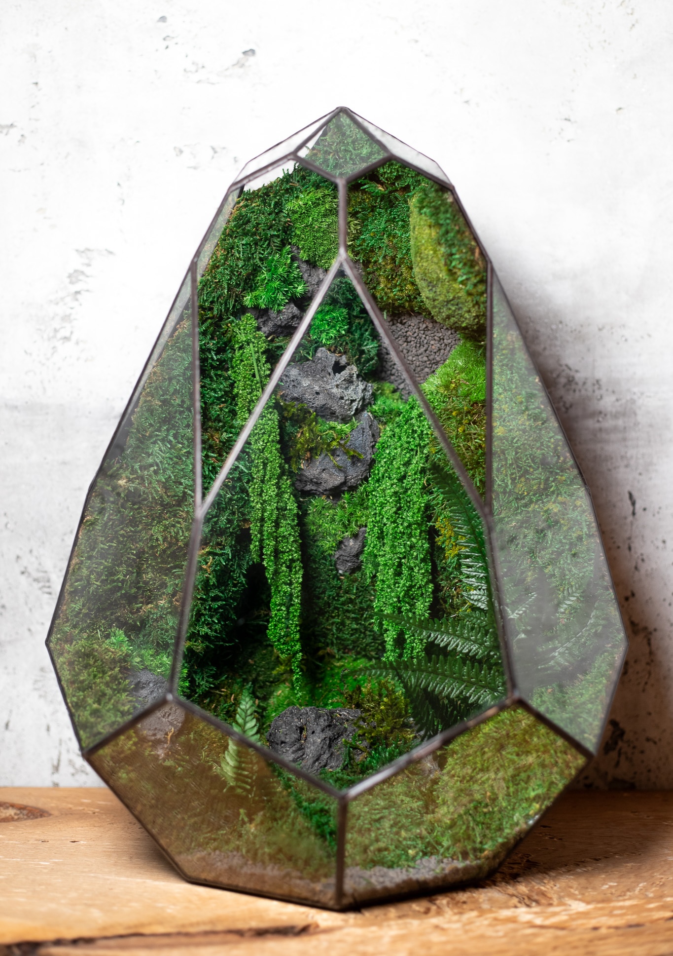 Low maintenance moss terrarium in avocado-shaped Tiffany glass container