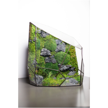 Stabilized handmade moss terrarium, zero maintenance nature-inspired home decor