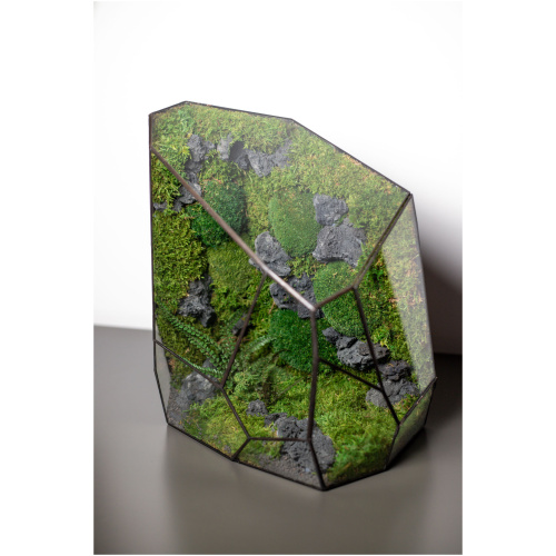 Stabilized handmade moss terrarium, zero maintenance nature-inspired home decor