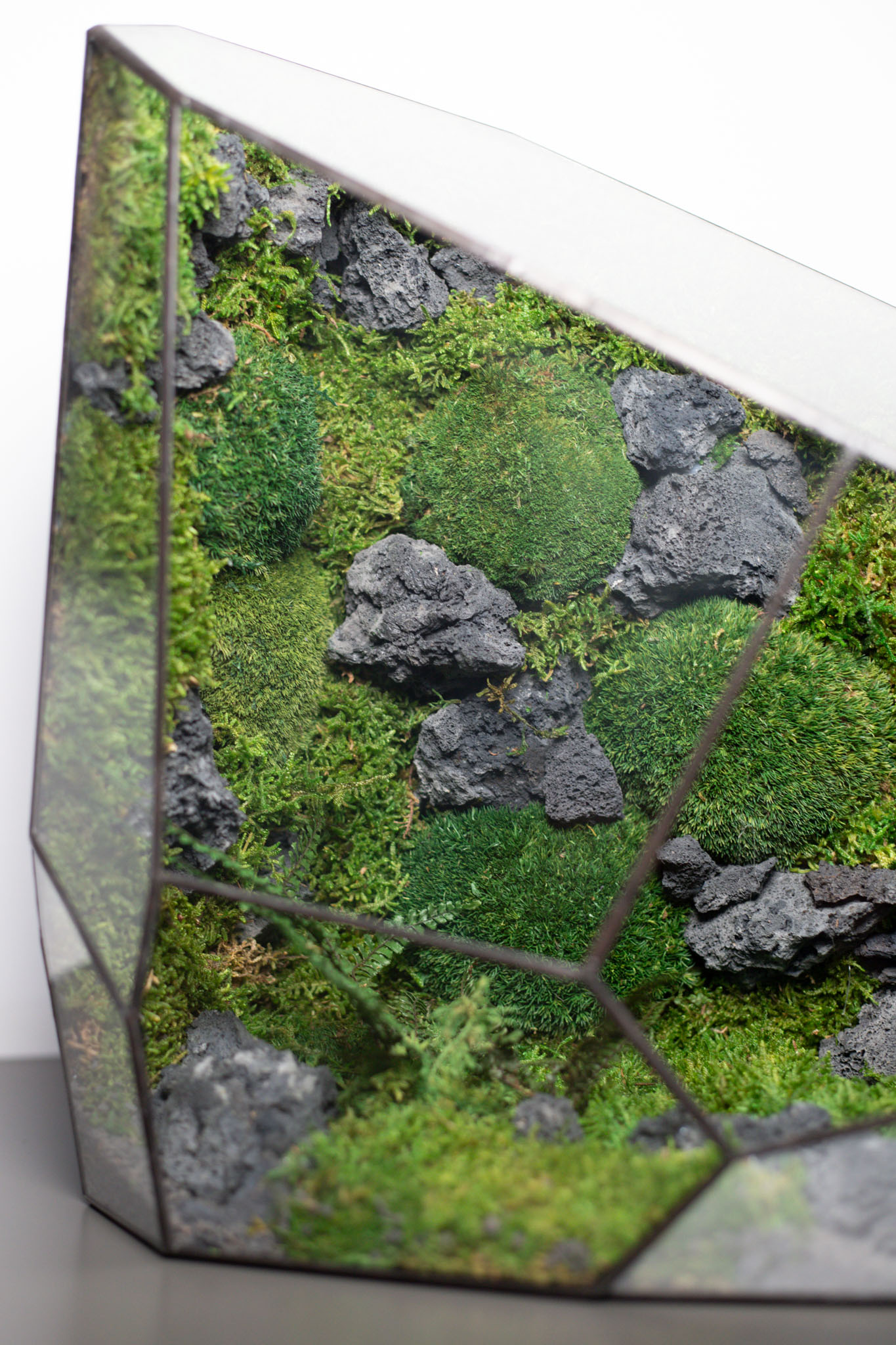 Stabilized handmade moss terrarium, zero maintenance nature-inspired home decor