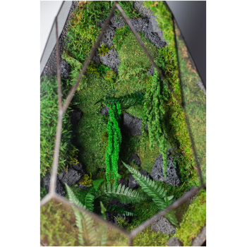 Stabilized handmade moss terrarium, zero maintenance nature-inspired home decor