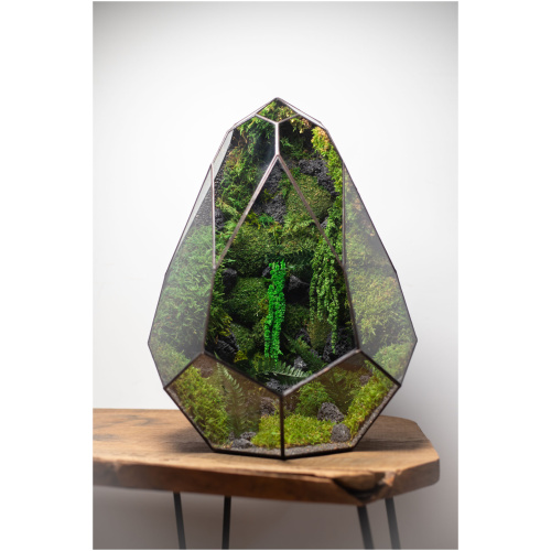 Stabilized handmade moss terrarium, zero maintenance nature-inspired home decor