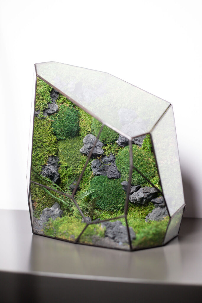 Handcrafted stabilized moss glass terrarium, home decor low-maintenance greenery