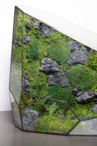 Handcrafted stabilized moss glass terrarium, home decor low-maintenance greenery