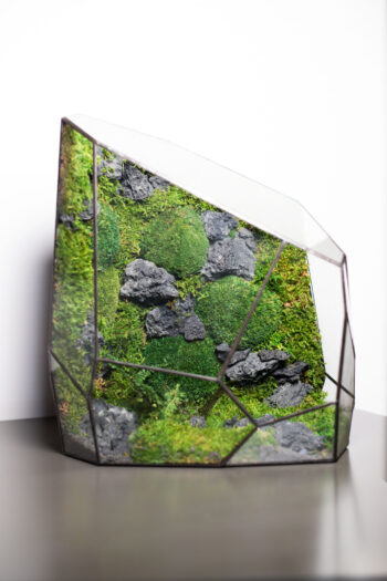 Handcrafted stabilized moss glass terrarium, home decor low-maintenance greenery