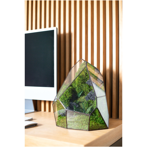 Stabilized moss glass terrarium, handmade zero maintenance home decor, nature-inspired gift