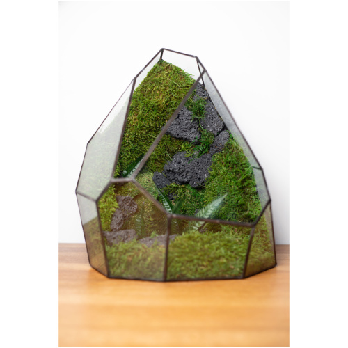 Stabilized moss glass terrarium, handmade zero maintenance home decor, nature-inspired gift
