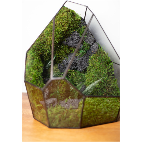 Stabilized moss glass terrarium, handmade zero maintenance home decor, nature-inspired gift