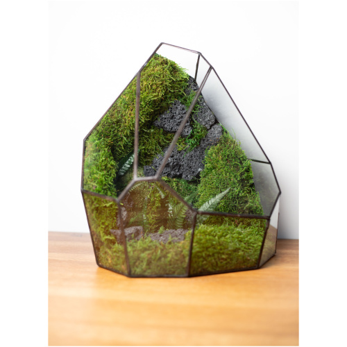 Stabilized moss glass terrarium, handmade zero maintenance home decor, nature-inspired gift