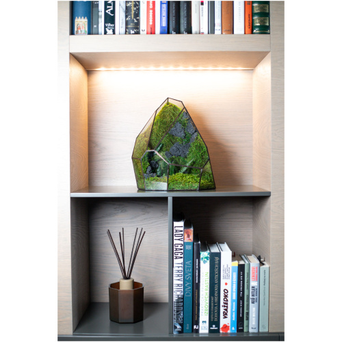 Stabilized moss glass terrarium, handmade zero maintenance home decor, nature-inspired gift