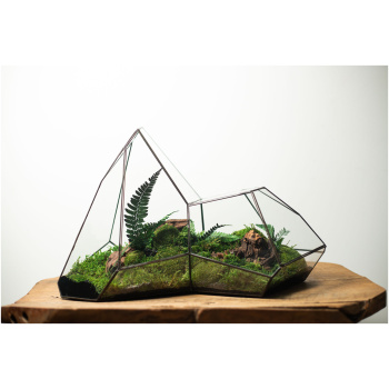 Preserved Moss Arrangement