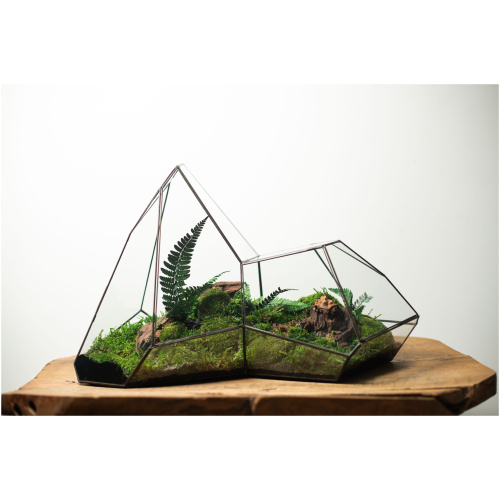 Preserved Moss Arrangement