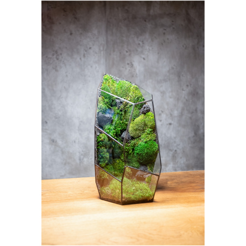 Handmade low mainetenance terrarium from Duosglass