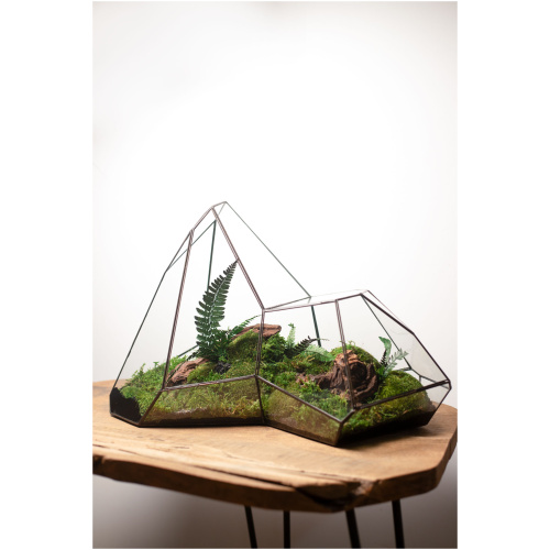 Preserved Moss Arrangement