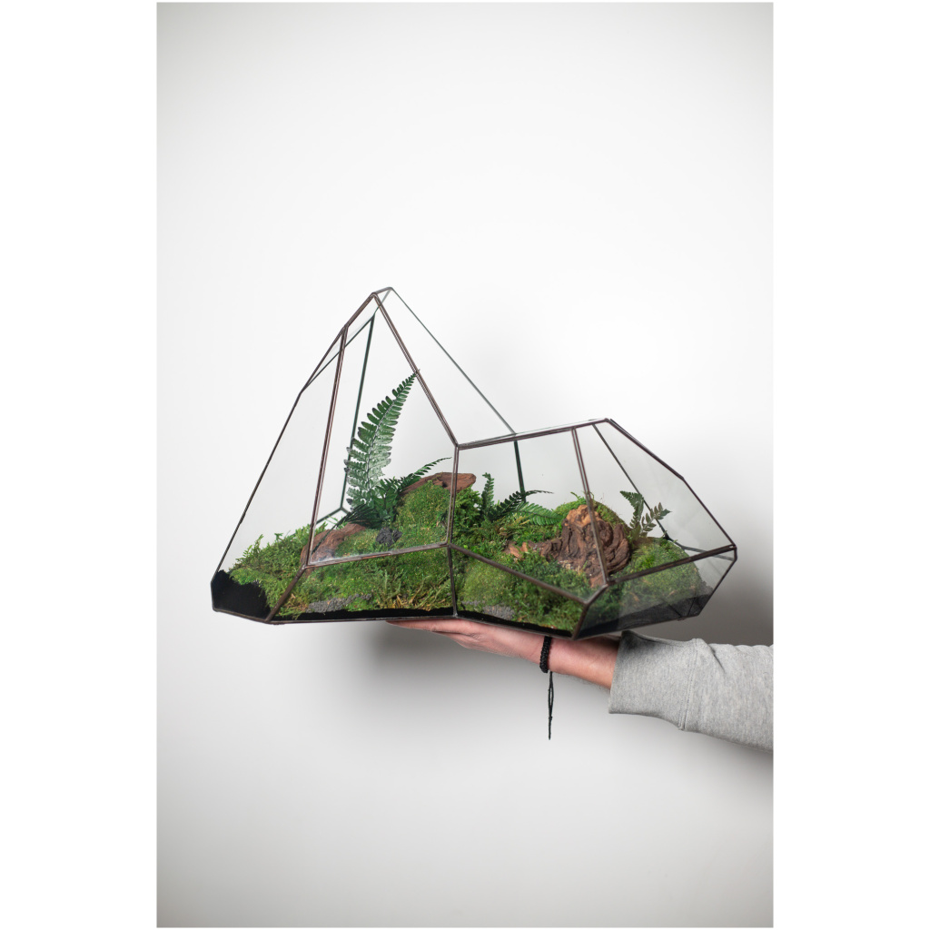 Preserved Moss Arrangement