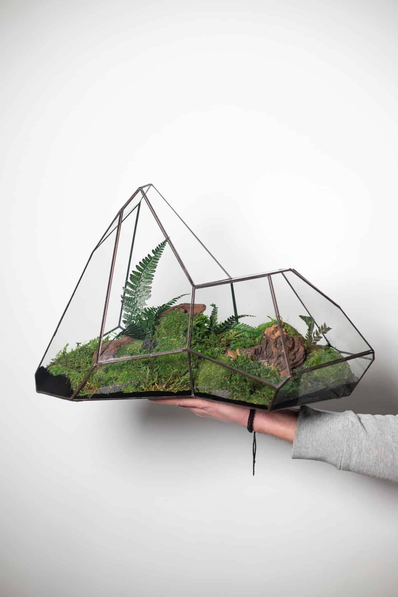 Preserved Moss Arrangement