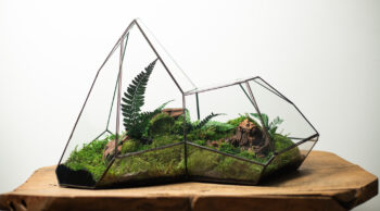 Low maintenance mountain glass terrarium by DuosGlass with preserved plants, handmade glass decor.