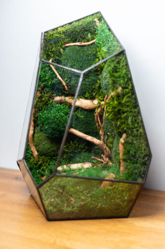 Stabilized moss glass terrarium, handmade low-maintenance home decor, nature-inspired gift