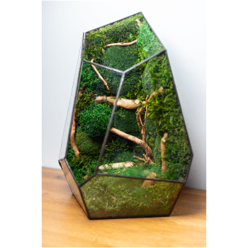 Stabilized moss glass terrarium, handmade low-maintenance home decor, nature-inspired gift