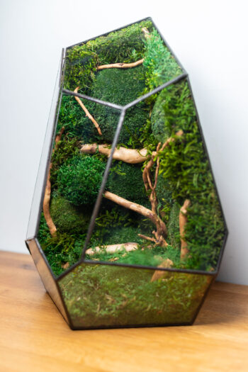 Stabilized moss glass terrarium, handmade low-maintenance home decor, nature-inspired gift