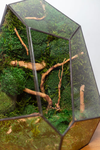Stabilized moss glass terrarium, handmade low-maintenance home decor, nature-inspired gift