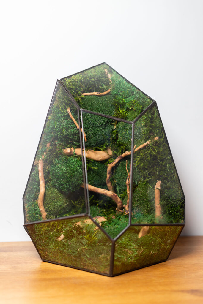 Stabilized moss glass terrarium, handmade low-maintenance home decor, nature-inspired gift