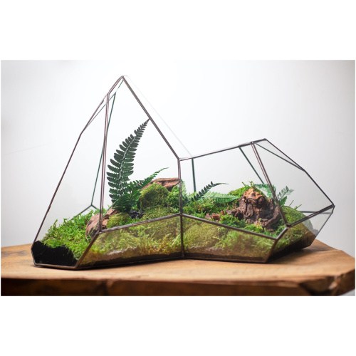 Stabilized moss terrarium in glass, zero maintenance home decor, nature-inspired gift