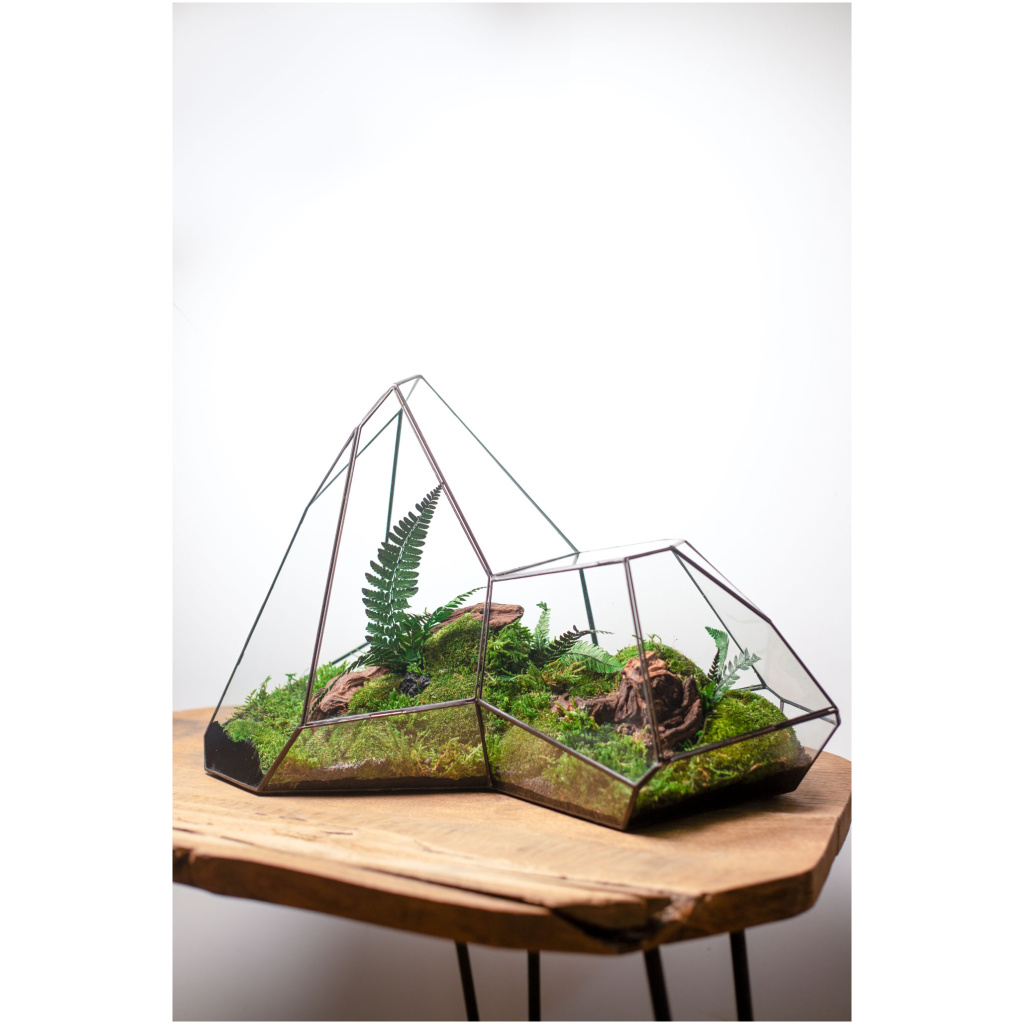 Stabilized moss terrarium in glass, zero maintenance home decor, nature-inspired gift