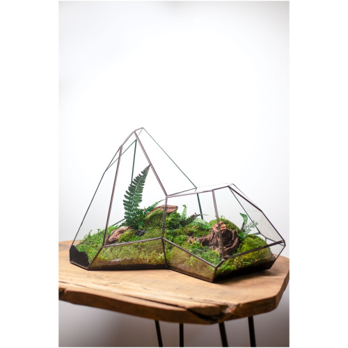 Stabilized moss terrarium in glass, zero maintenance home decor, nature-inspired gift