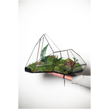 Stabilized moss terrarium in glass, zero maintenance home decor, nature-inspired gift