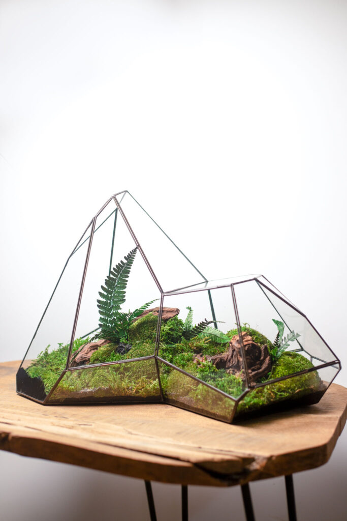Stabilized moss terrarium in glass, low-maintenance home decor, nature-inspired gift
