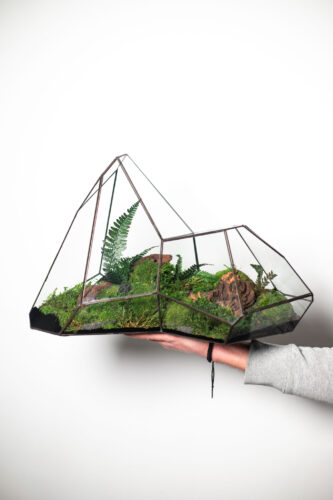 Stabilized moss terrarium in glass, low-maintenance home decor, nature-inspired gift