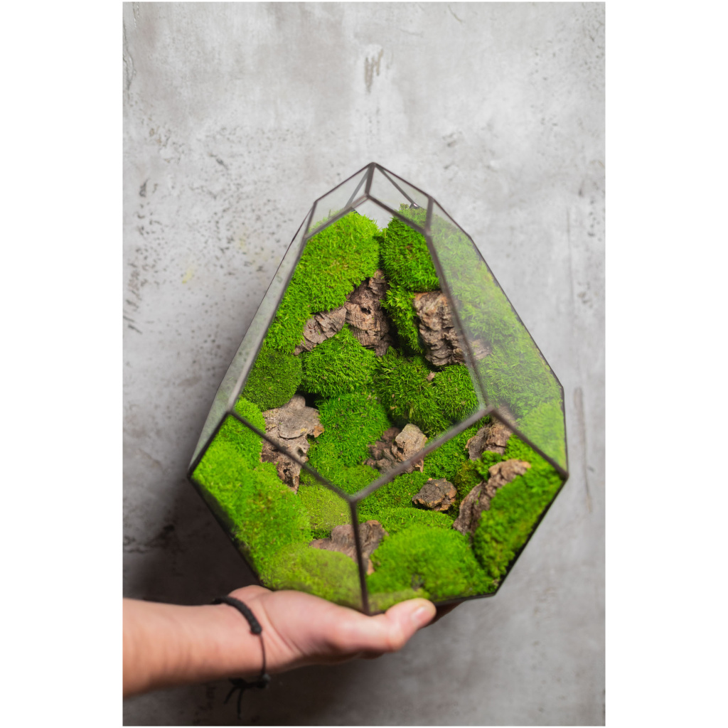 Handmade Zero maintenance moss terrarium