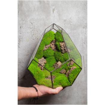 Handmade low-maintenance preserved moss terrarium