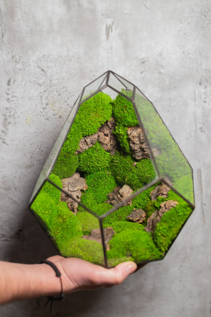 Handmade low-maintenance preserved moss terrarium